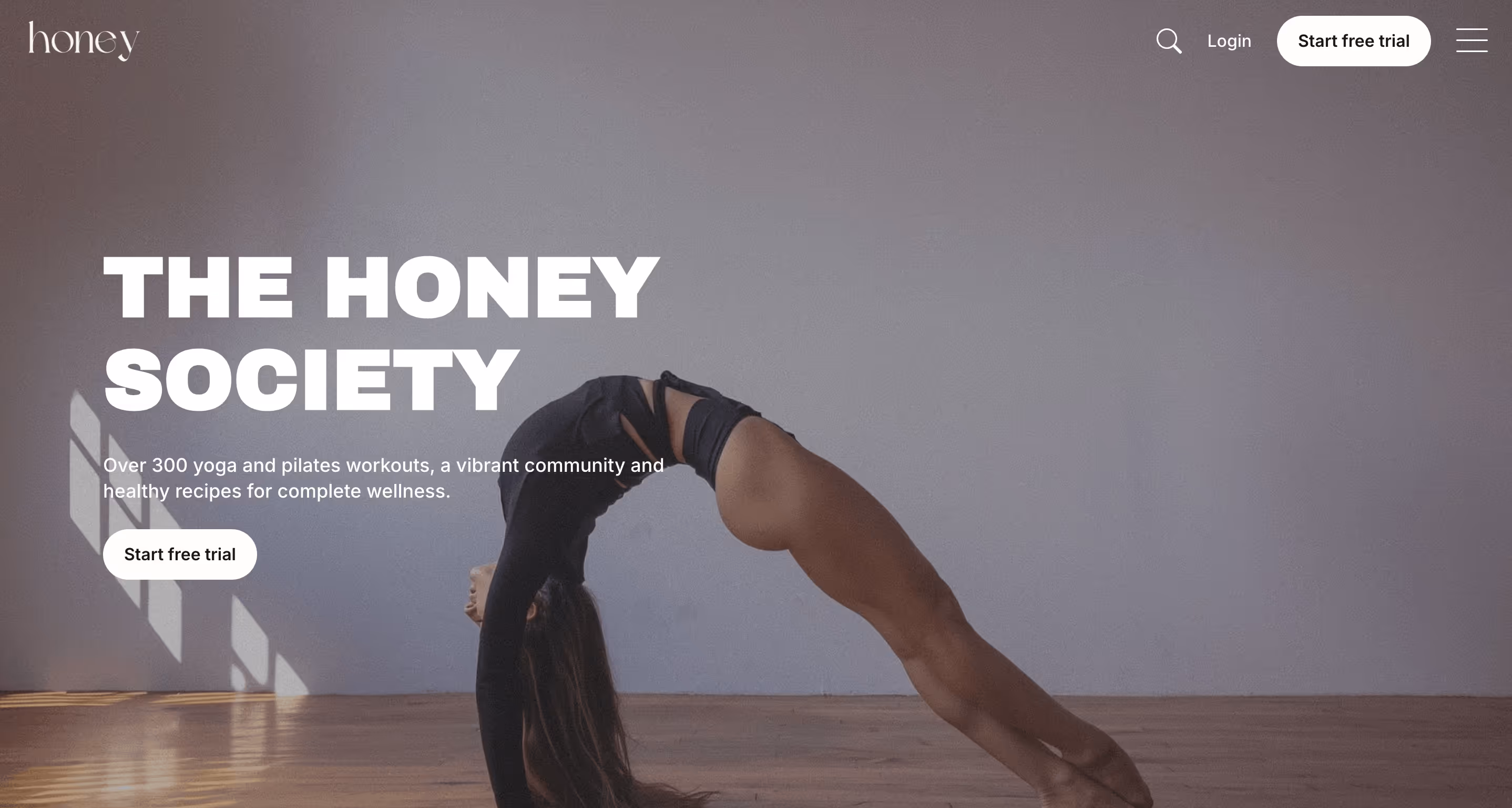 Honey Studio